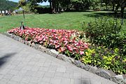 54 - Butchard Gardens  - IMG_1648